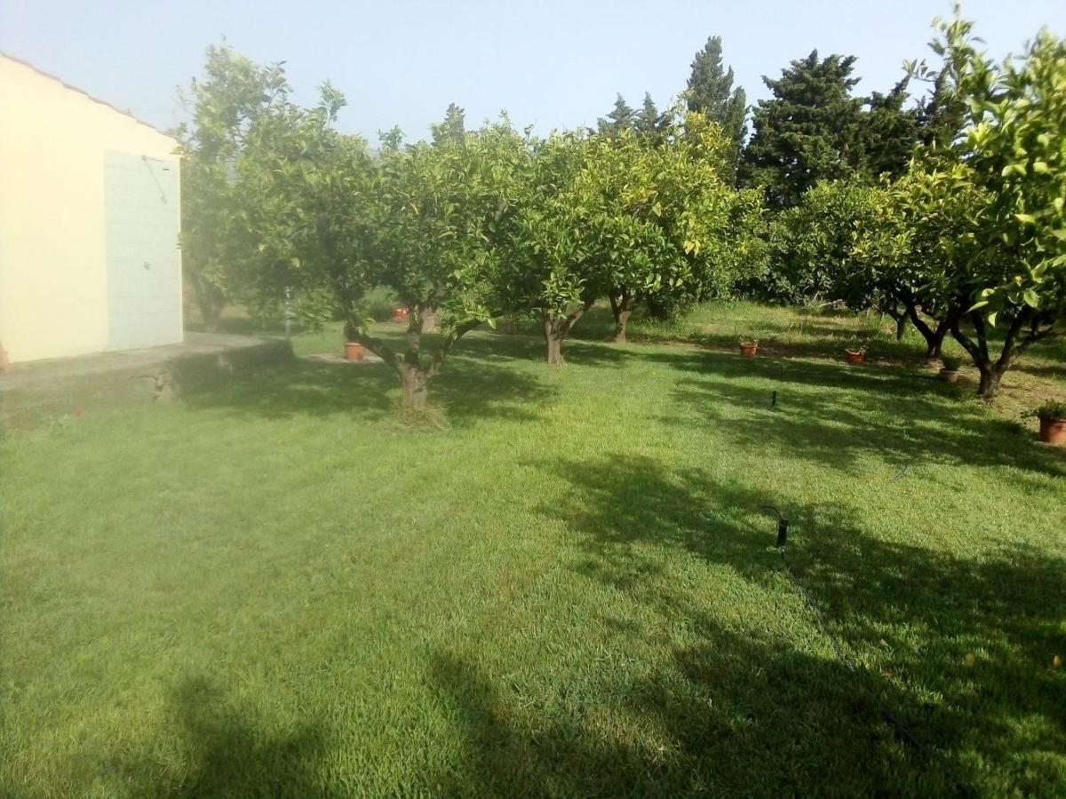 Appartamento In Orosei In Villa Delle Arance 300Mt Dalla Spiaggia Buitenkant foto