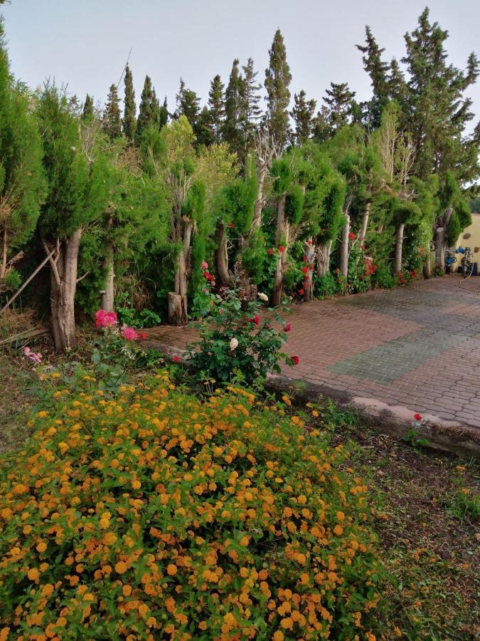 Appartamento In Orosei In Villa Delle Arance 300Mt Dalla Spiaggia Buitenkant foto